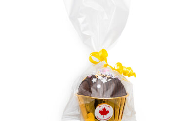 Single Hot Chocolate Bomb